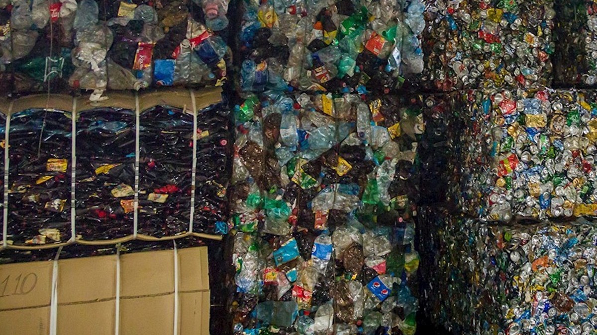 Руслан Губайдуллин рассказал молодым экологам про осознанное потребление, правила сортировки и честный пластик